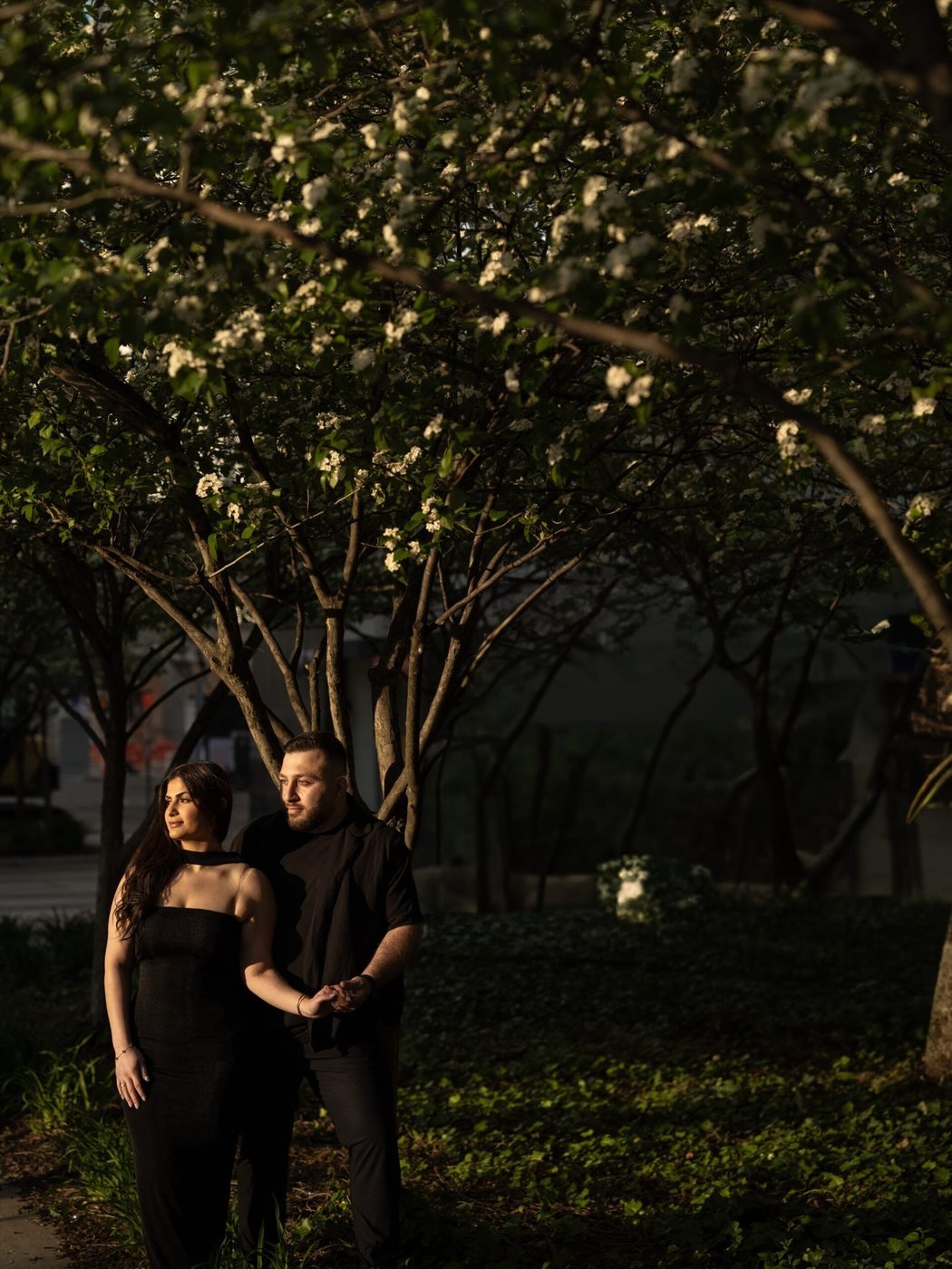 Couple beneath a light-strung tree