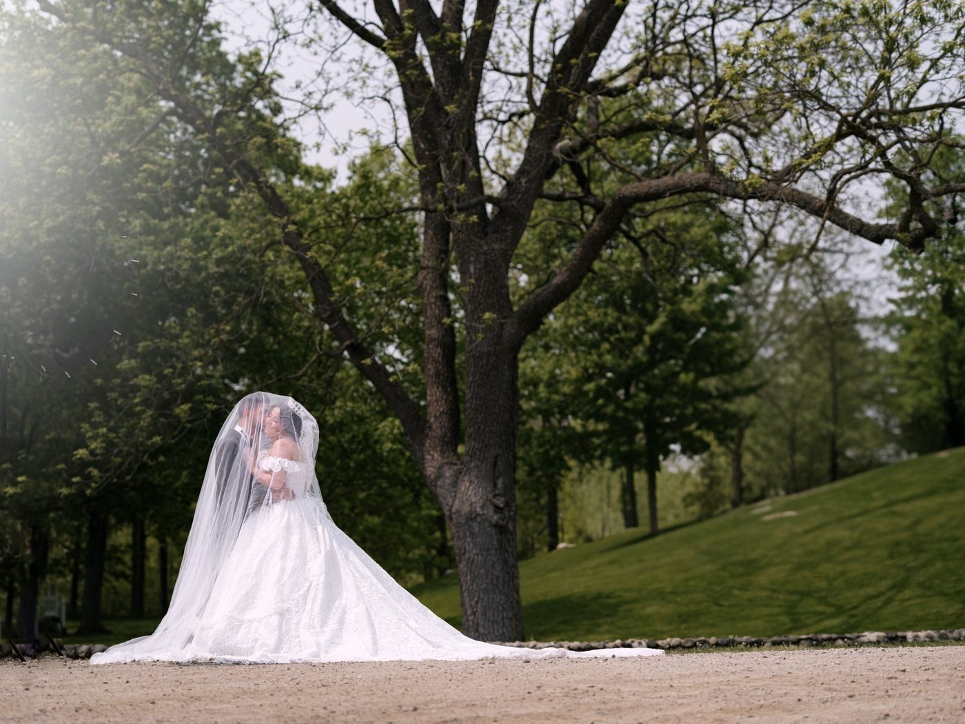 Bride with a full cathedral veil in open parkland