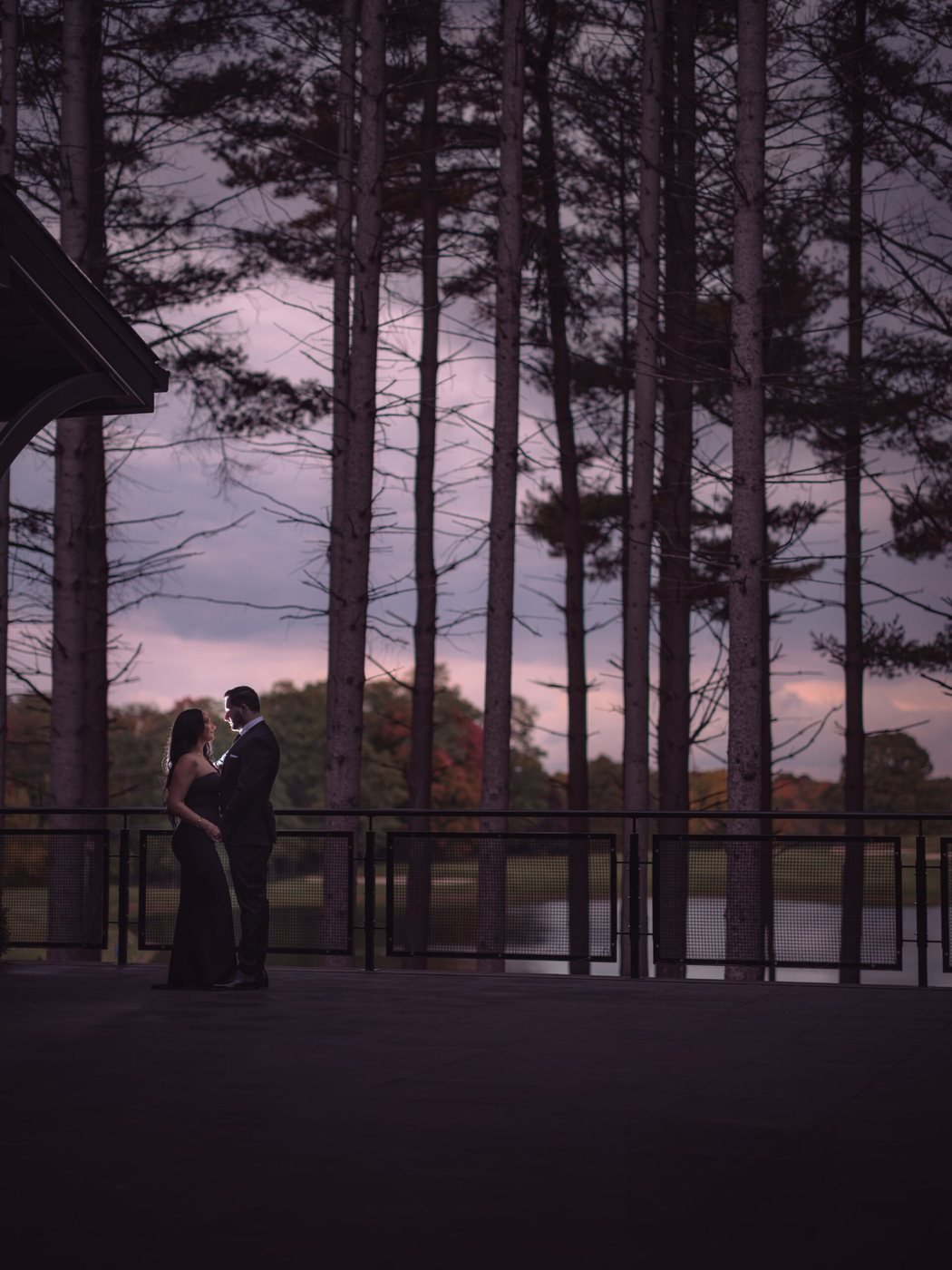 Couple silhouetted against a dusk sky