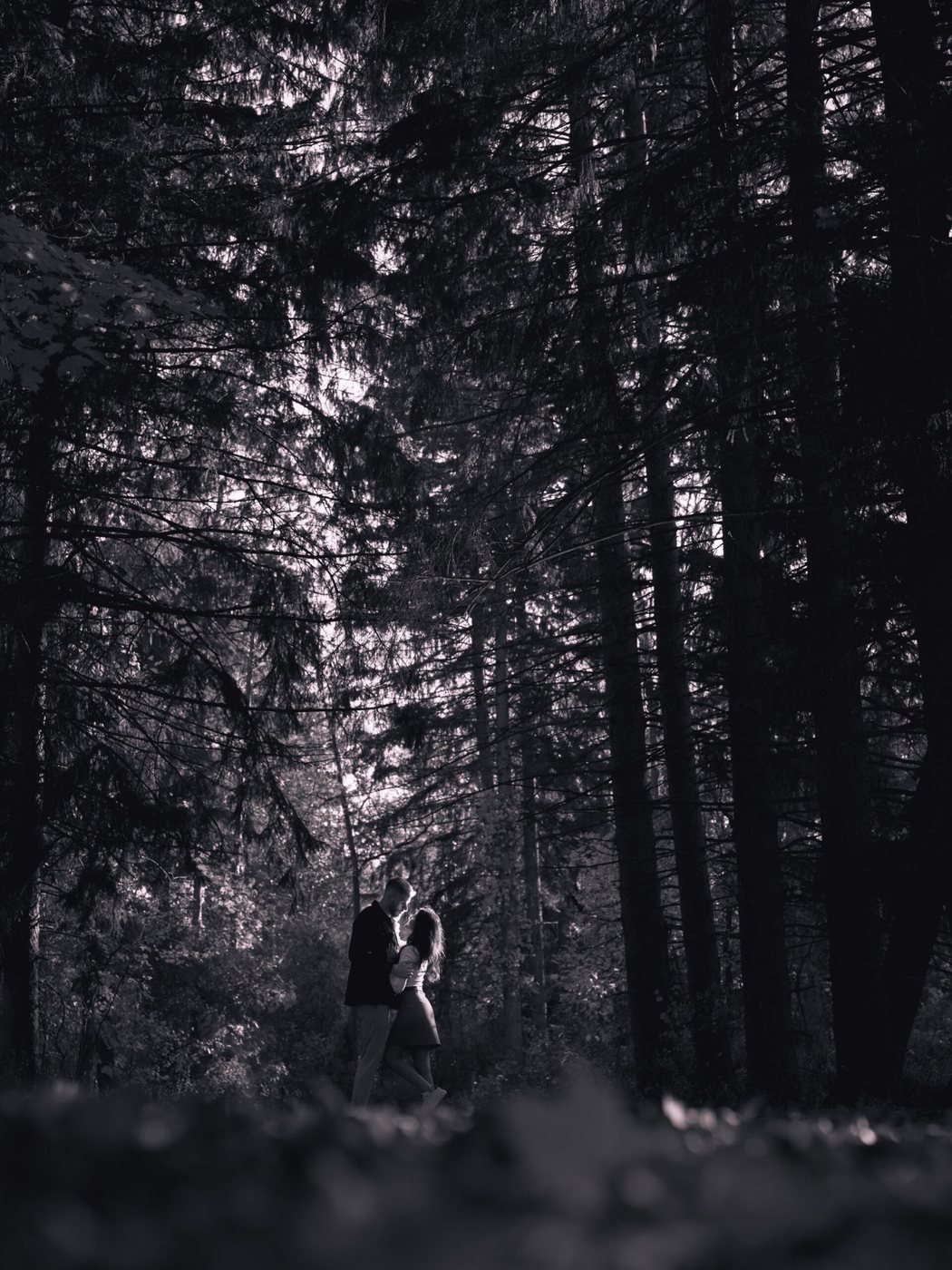 Couple among tall pines, black and white
